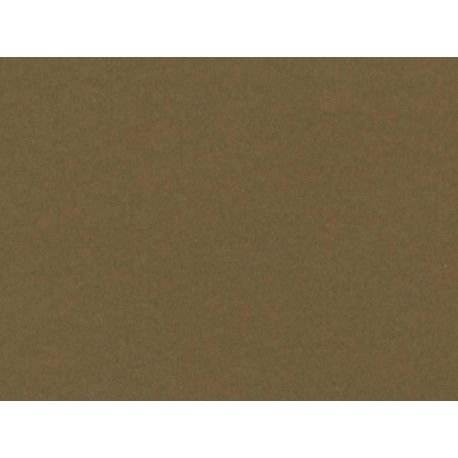 CARTULINA 50X65 MARRON 180 GR.