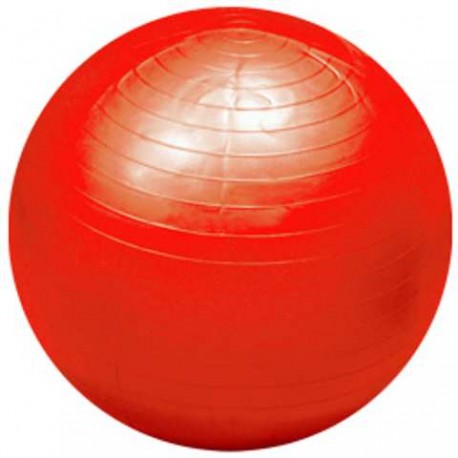 PELOTA GIGANTE FLEXI 55 CM