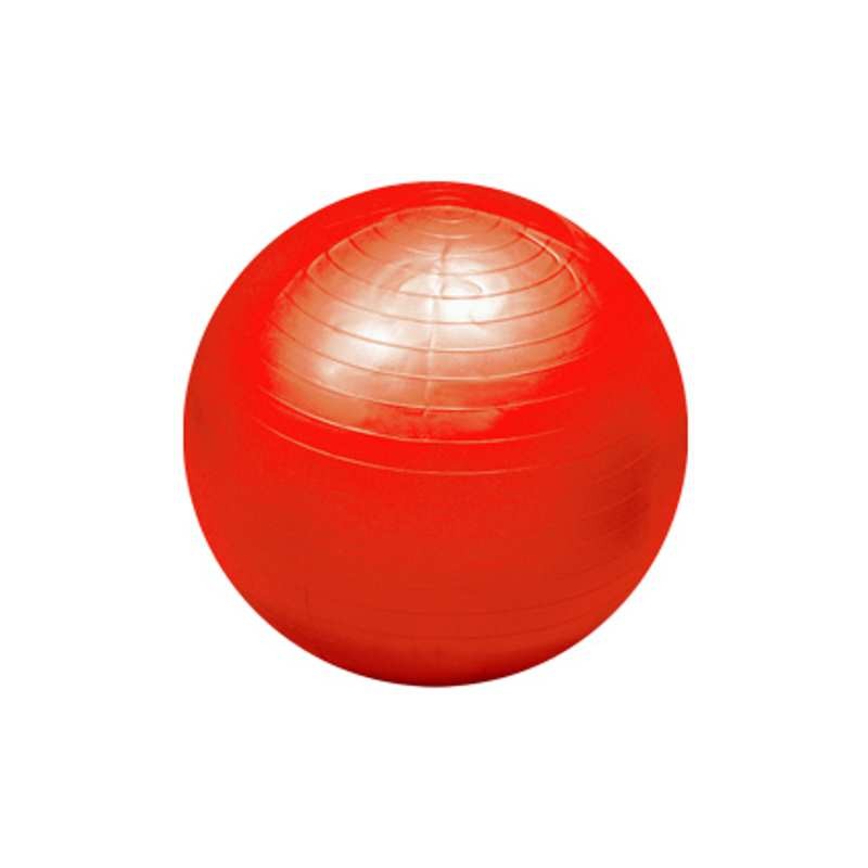 Pelotas gigantes flexi - Punto Deporte Asesores