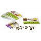 BILLETES Y MONEDAS ACTIVITY EURO