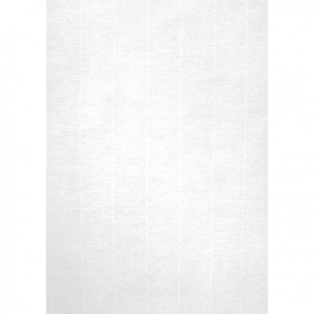 PAPEL VERJURADO BLANCO 100 GR A4 100 HOJAS