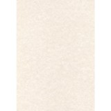 PAPEL PERGAMINO GRIS 165 GR A4 50 HOJAS