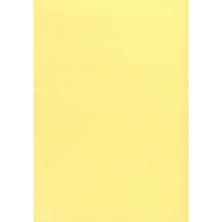 PAPEL COLOR A4 80 GRS. 100 H. AMARILLO CLARO