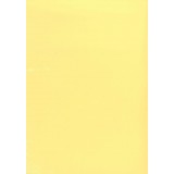 PAPEL COLOR A4 80 GRS. 100 H. AMARILLO CLARO