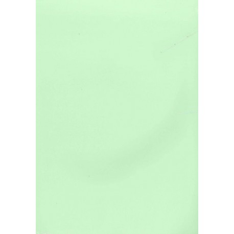 PAPEL COLOR A4 80 GRS. 100 H. VERDE CLARO