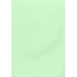 PAPEL COLOR A4 80 GRS. 100 H. VERDE CLARO