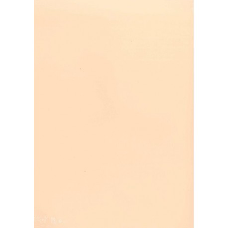 PAPEL COLOR A4 80 GRS. 100 H. SALMON