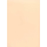 PAPEL COLOR A4 80 GRS. 100 H. SALMON