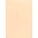 PAPEL COLOR A4 80 GRS. 100 H. SALMON