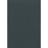 PAPEL COLOR A4 80 GRS. 100 H. NEGRO