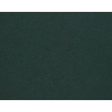 (L) CARTULINA 50X65 VERDE PINO 180 GR.