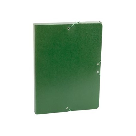CARPETA PROYECTO 3 CM VERDE