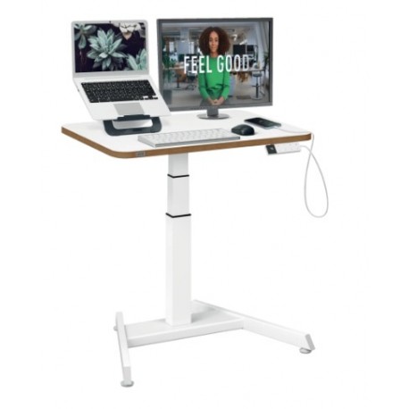 MESA REGULABLE ELECTRICA ERGONOMICA