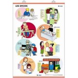 LAMINA LOS OFICIOS / EL TRANSPORTE EDIGOL