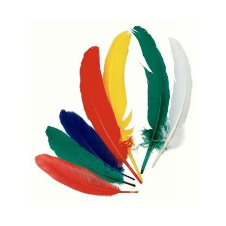 PLUMAS DE INDIO B/100 UDS