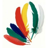 PLUMAS DE INDIO B/100 UDS