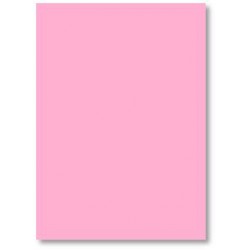 GOMA EVA 20X30 CMS 10 UDS ROSA
